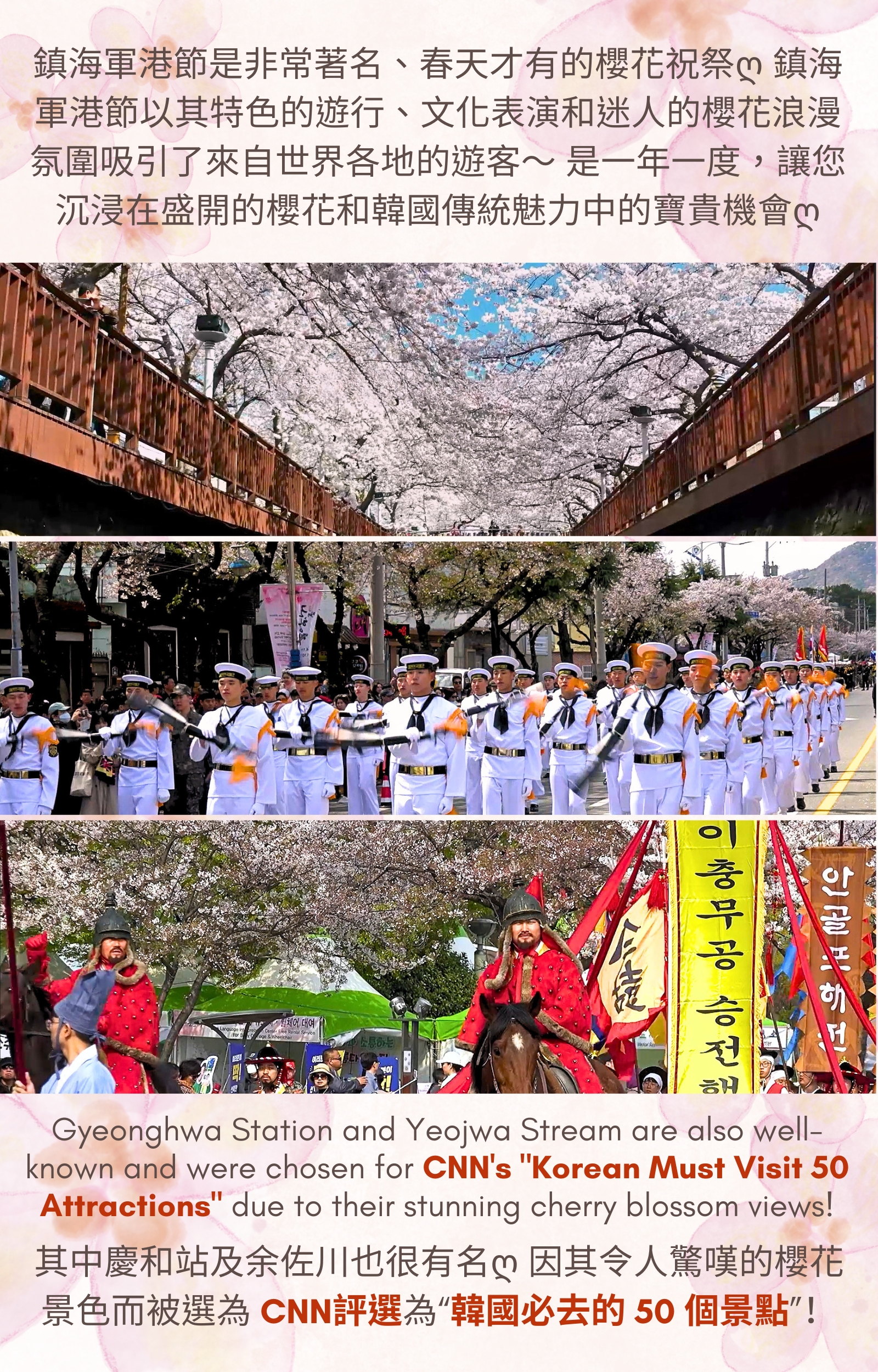 Jinhae Gunhangje Cherry Blossom Festival Day Tour from Seoul/Busan 