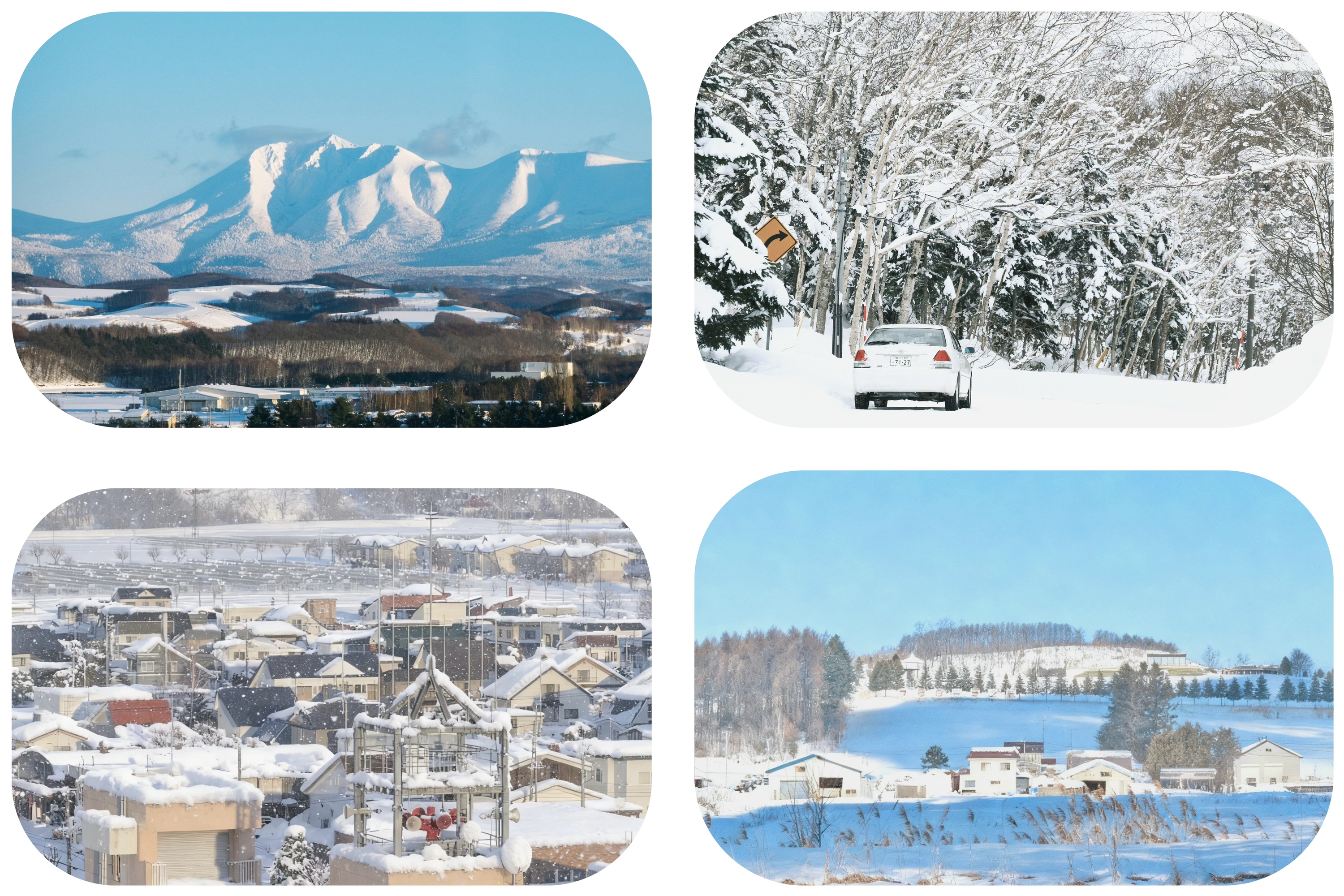 ✧⁺何為美瑛？我想，就是那讓人一眼便沉靜下來的遼闊與溫柔。