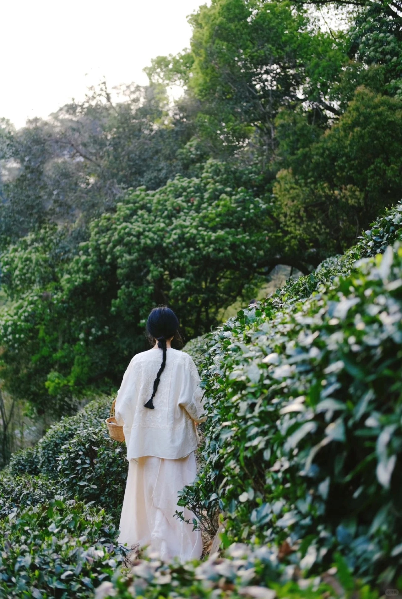 沉浸式感受茶文化的雅緻與悠然