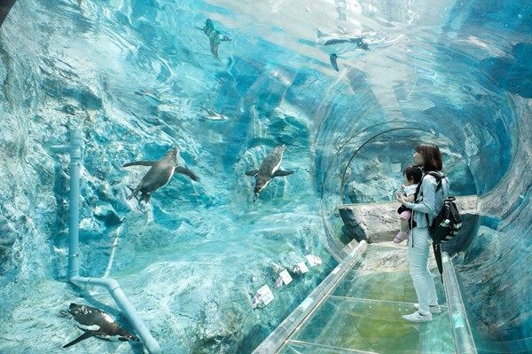 A方案-網紅打卡線