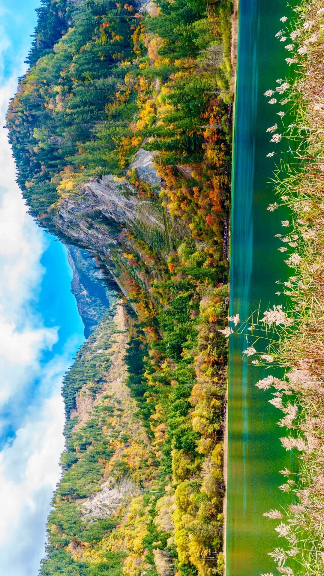 踏入九寨溝，便闖入了自然私藏的夢幻天地。澄澈湖水似打翻的顏料盤，翡翠綠、寶石藍交融，映著雲朵遊弋