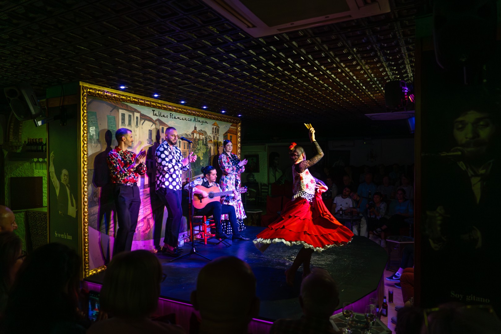 在格拉納達正宗的弗拉門戈劇場欣賞現場弗拉門戈表演,包括真正的歌唱、舞蹈和吉他。 在格拉納達正宗的弗拉門戈劇場欣賞現場弗拉門戈表演,包括真正的歌唱、舞蹈和吉他。