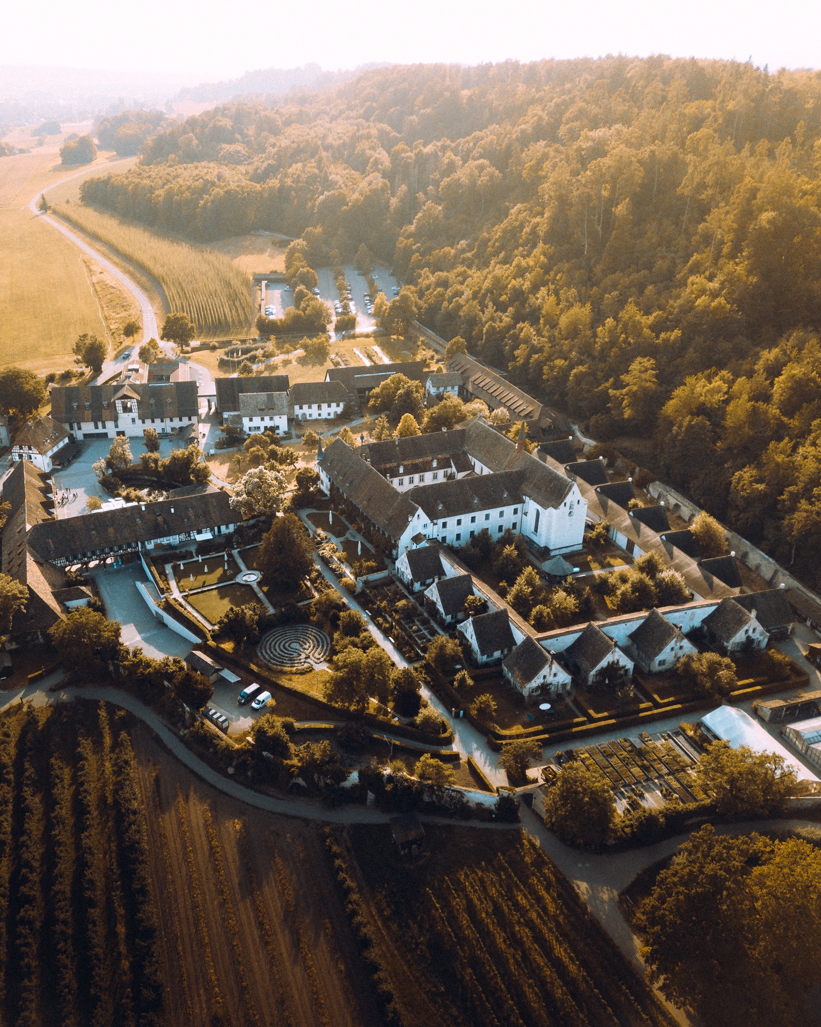Local Wine &amp; Cheese Tasting at Kartause Ittingen Monastery