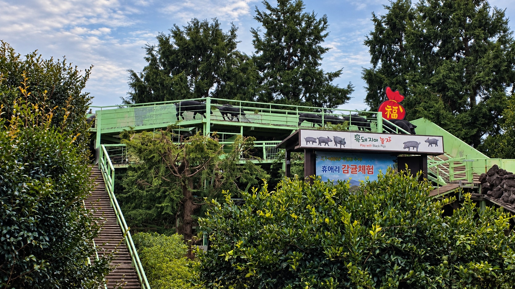 來休愛里自然生態公園體驗四季花卉、有趣的黑豬秀與豐富的親子活動。
