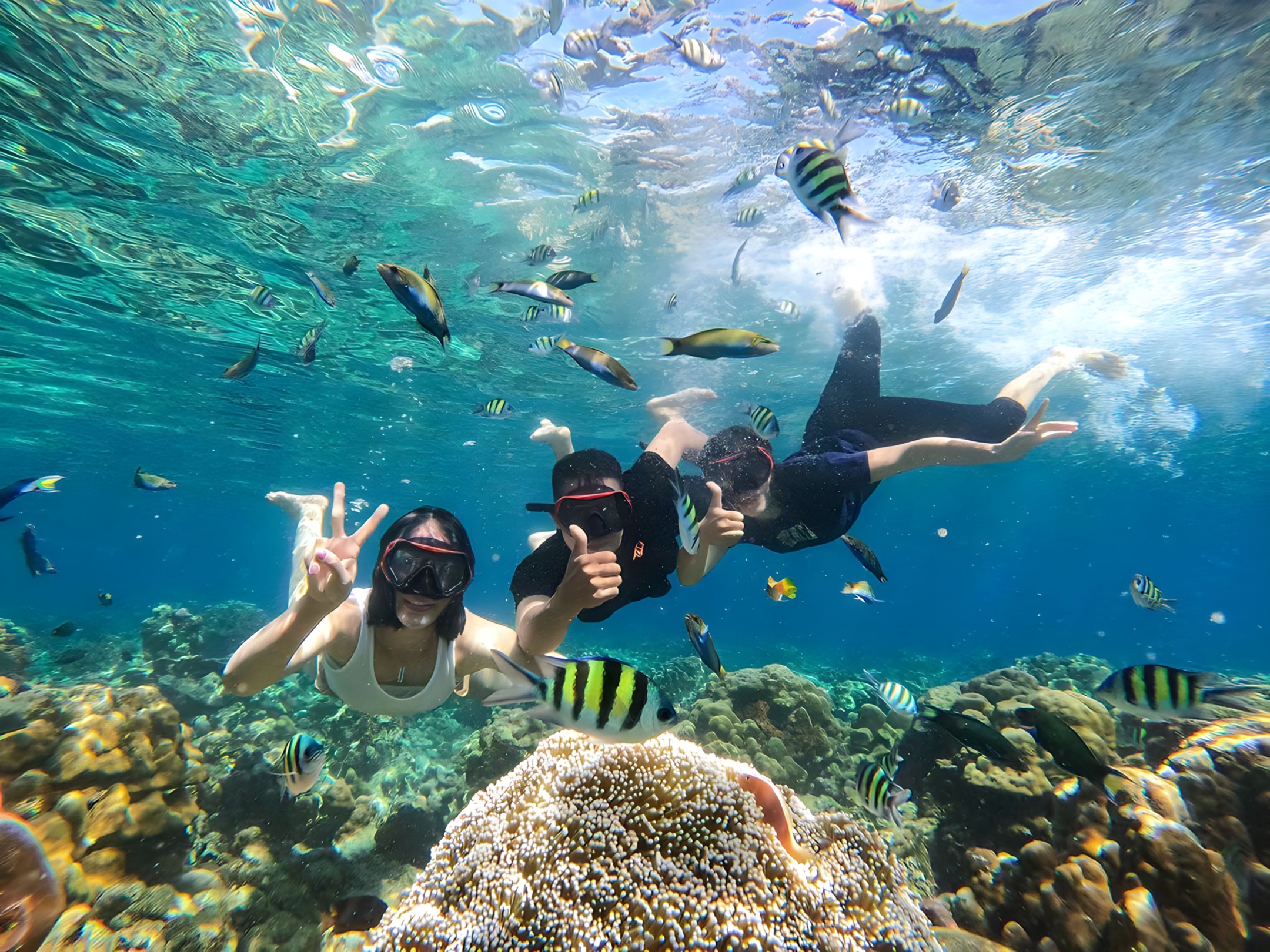 龍目島Gili Air島浮潛之旅