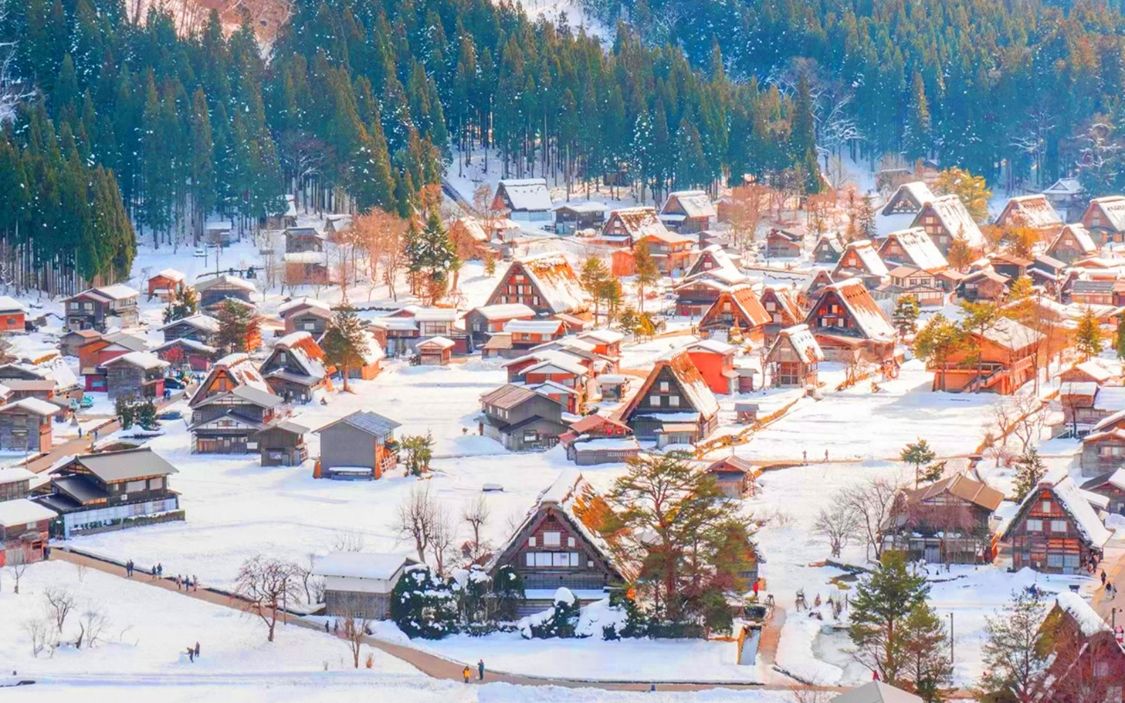 [Winter Limited] Shirakawa-go Gassho Village & Gujo Hachiman Old Town Two-Day Tour | Gero Onsen Gassho Village Illumination & Bokuka no Sato Snow Activities & Shirakawa-go & Hida Takayama & Gujo Hachiman (Departure from Nagoya)