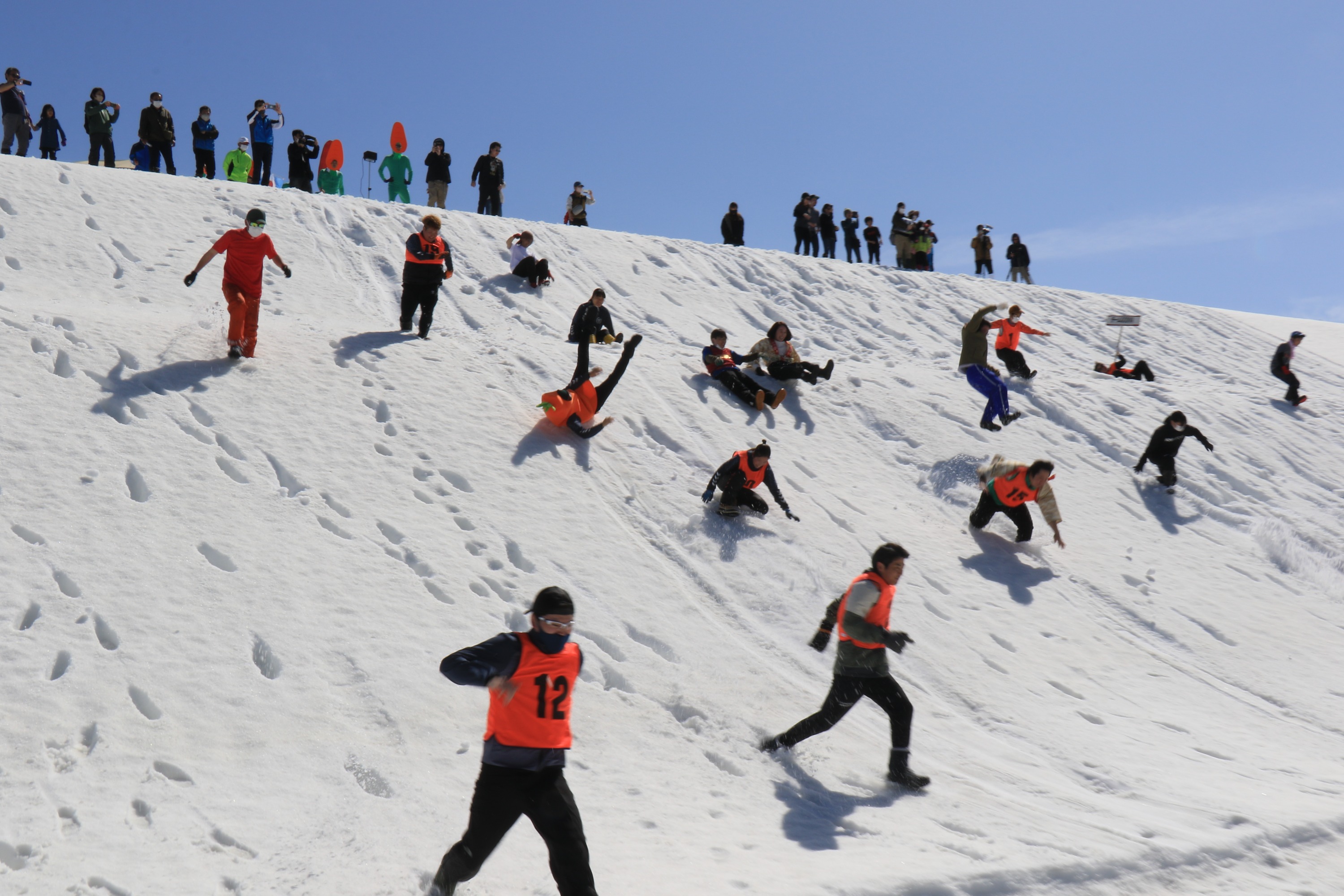 桜の古都川越めぐりと豪雪津南町 雪下にんじん祭り体験一泊二日ツアー