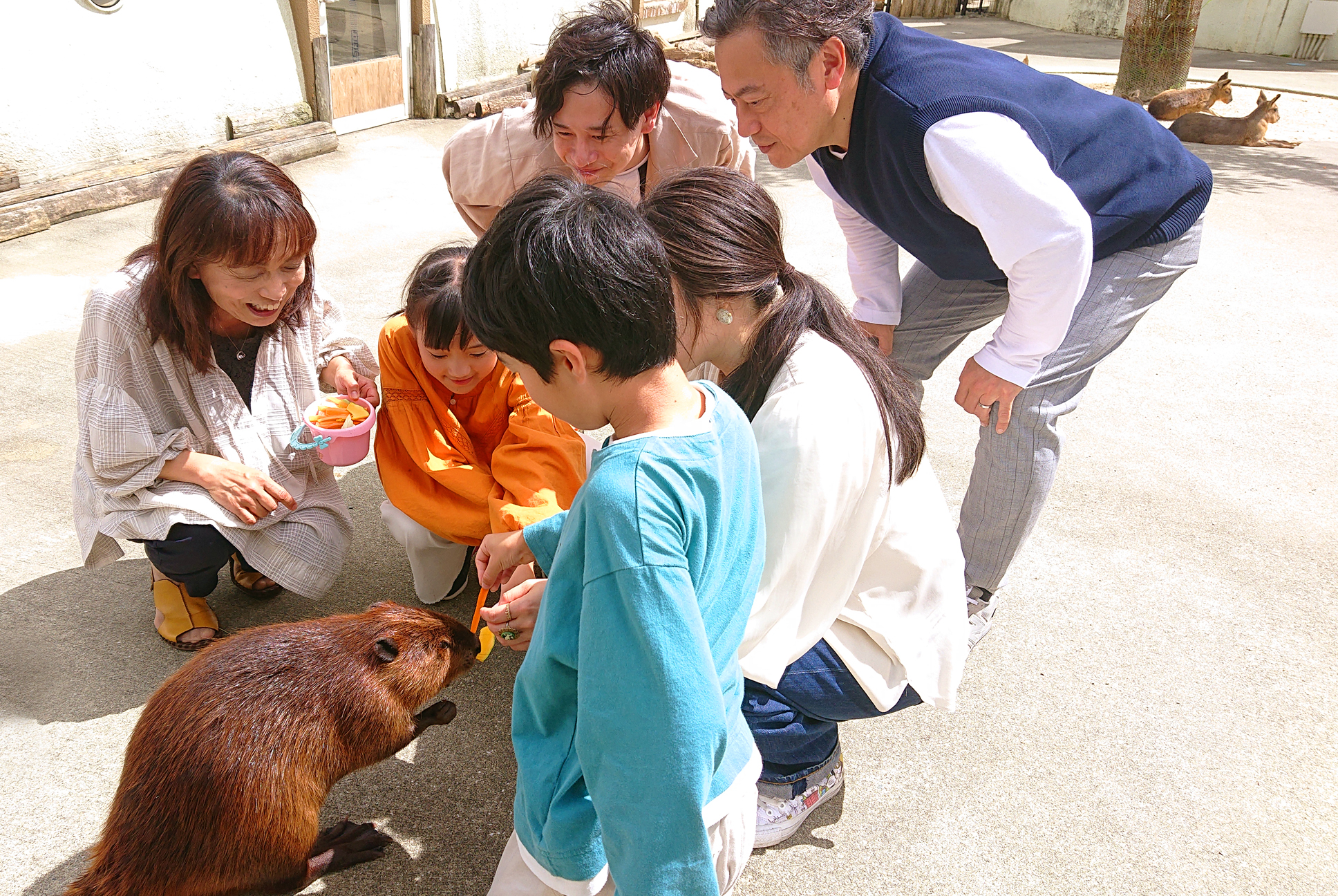 阿蘇農場樂園門票