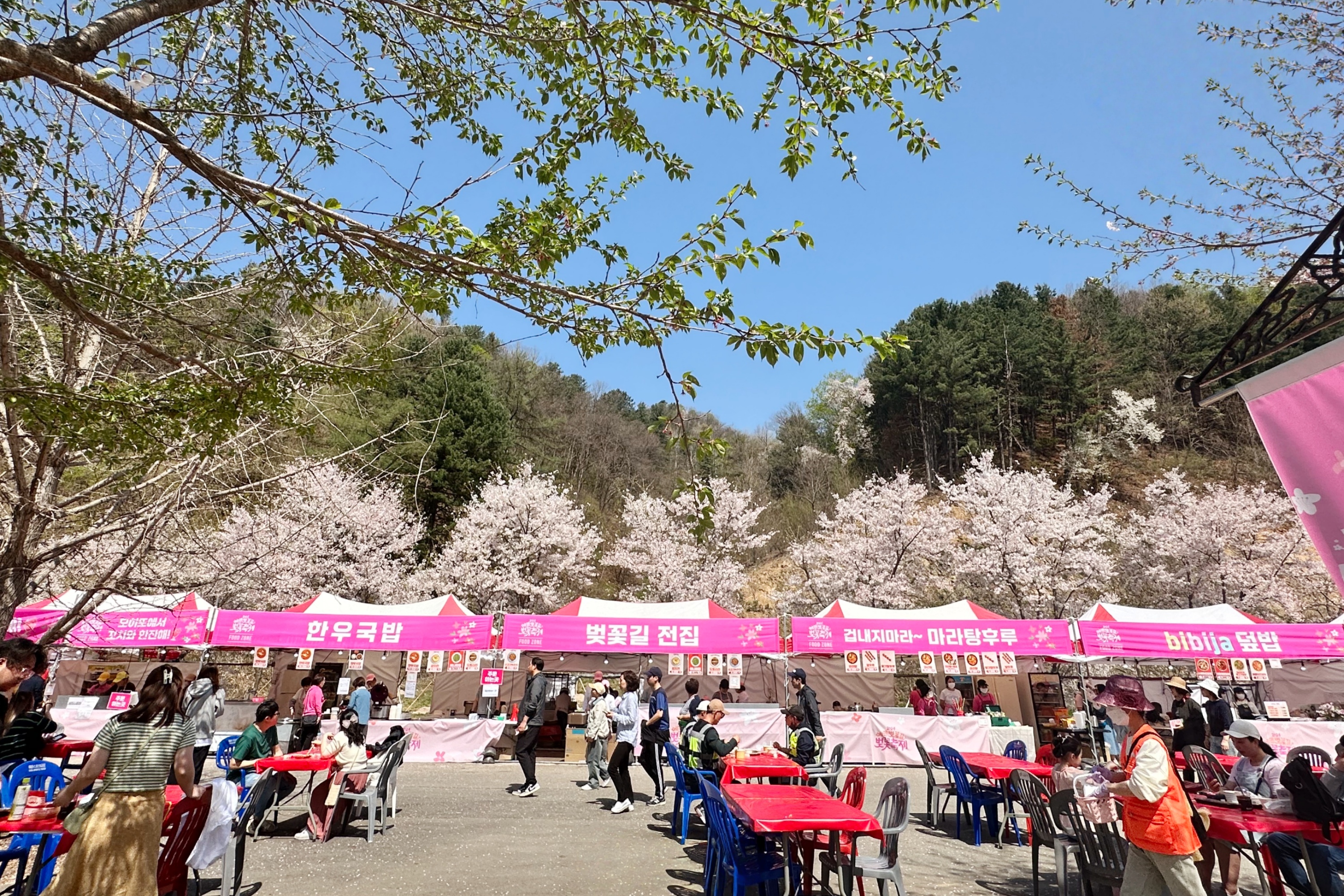 舉辦季節性節日慶祝櫻花,包括文化表演和美食攤位。 舉辦季節性節日慶祝櫻花,包括文化表演和美食攤位。
