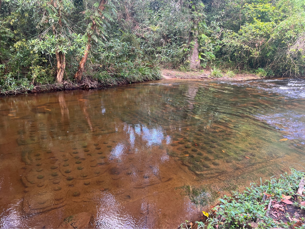 驚歎於雕刻在庫倫河床上的神秘溼婆林伽,聖水流向下方吳哥 驚歎於雕刻在庫倫河床上的神秘溼婆林伽,聖水流向下方吳哥