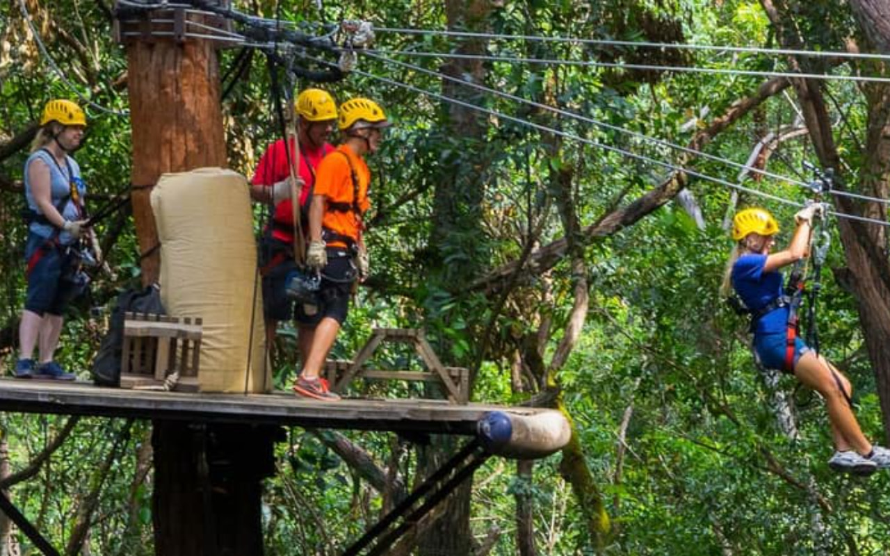 Kohala Zip & Dip Experience