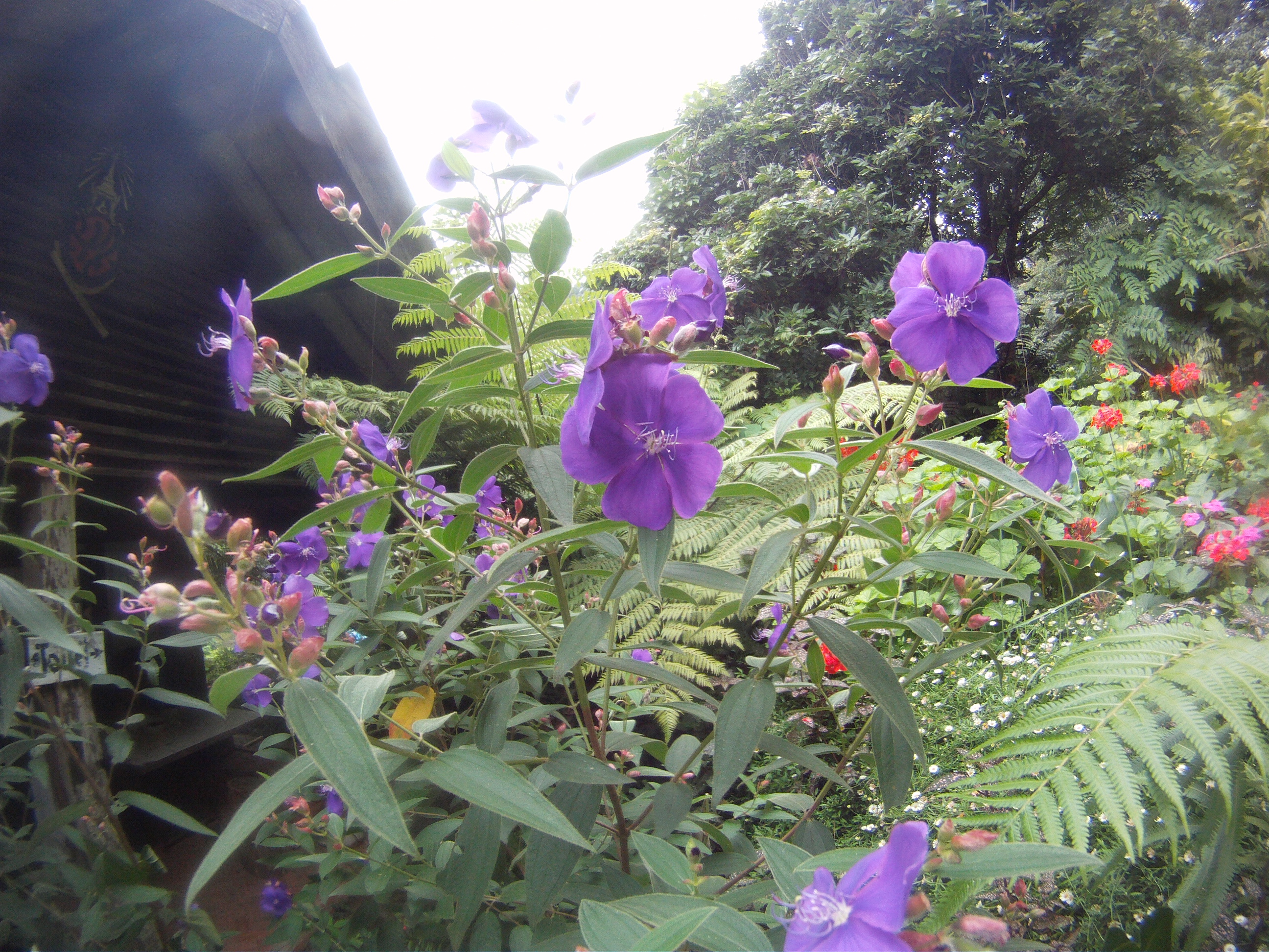 素貼山國家公園越野山地自行車騎行之旅