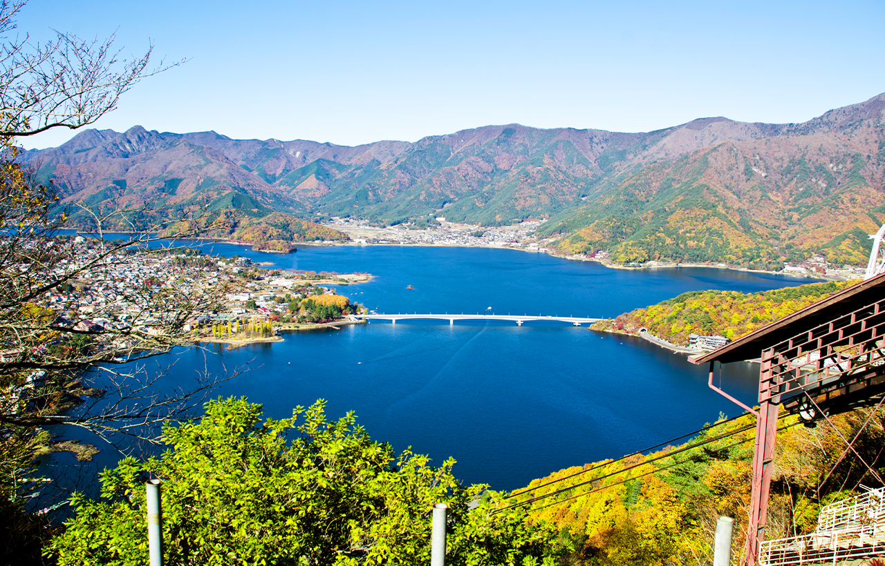 富士山山中湖單車騎行 河口湖纜車 抹茶體驗 網紅景點打卡二日遊｜4~9人精品小團｜東京/新宿出發