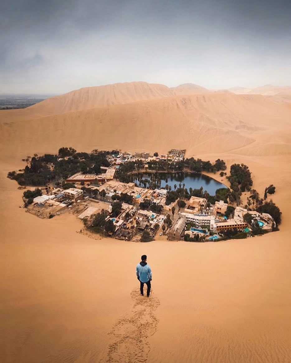 From Lima: Paracas and Huacachina Guided Desert Oasis Trip