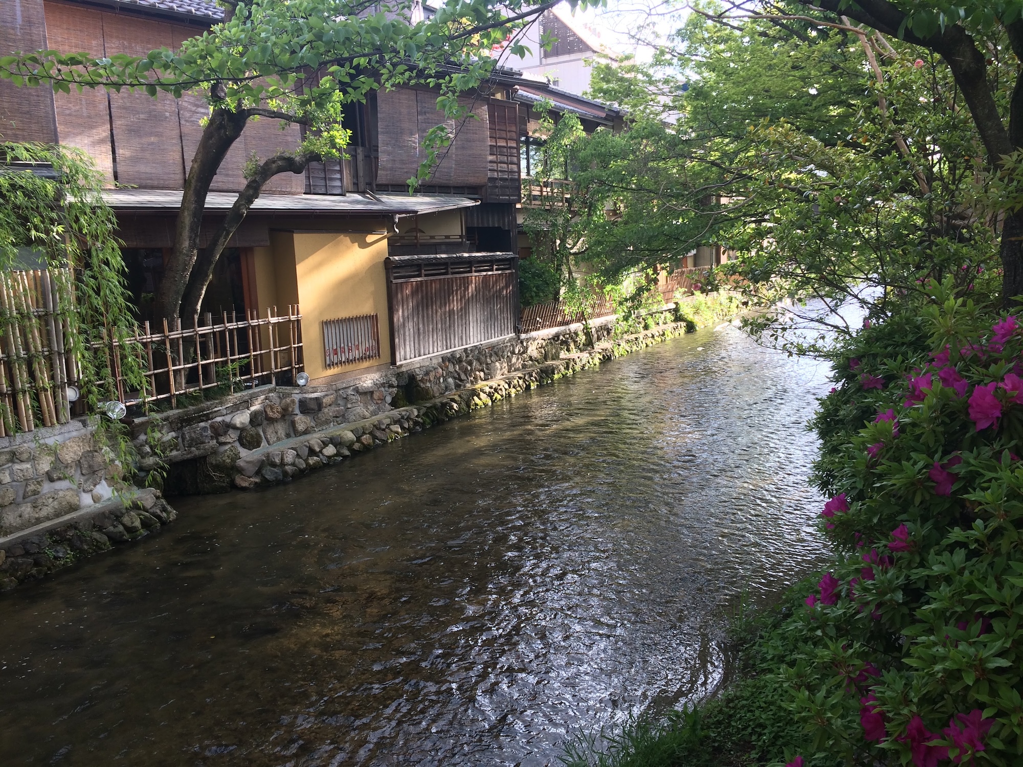 Kyoto: Immersive Arashiyama and Fushimi Inari by private vehicle