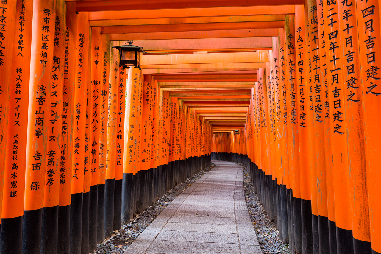 京都·嵐山·奈良｜嵯峨野小火車·竹林小徑·友禪光林·奈良公園·伏見稻荷大社·吉伊卡哇本鋪打卡一日遊｜大阪出發