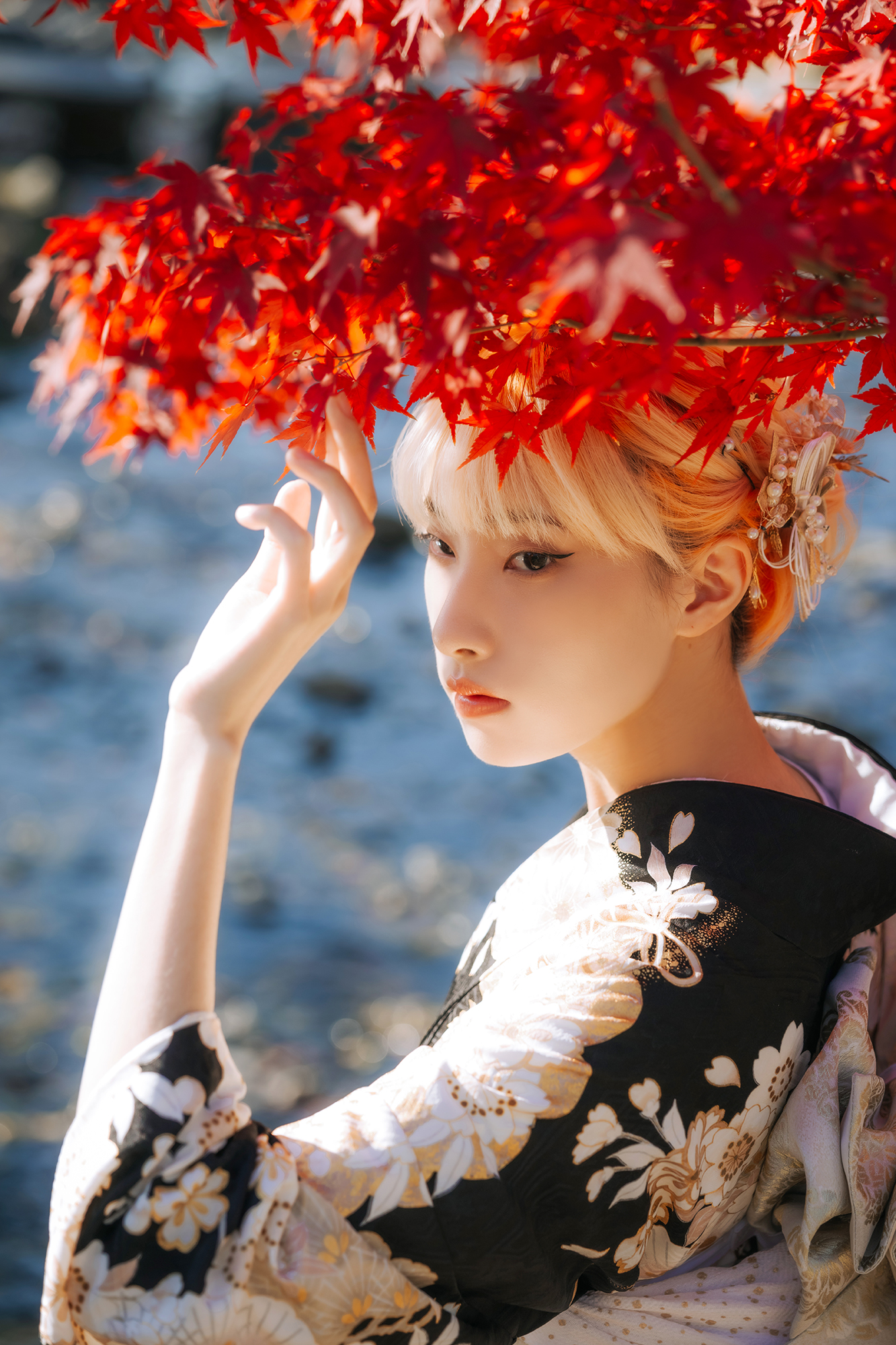 京都紅葉與夕陽