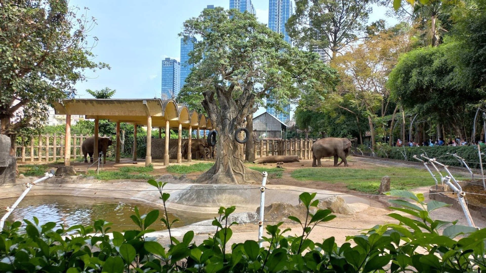 西貢動物園和植物園門票（胡志明市）