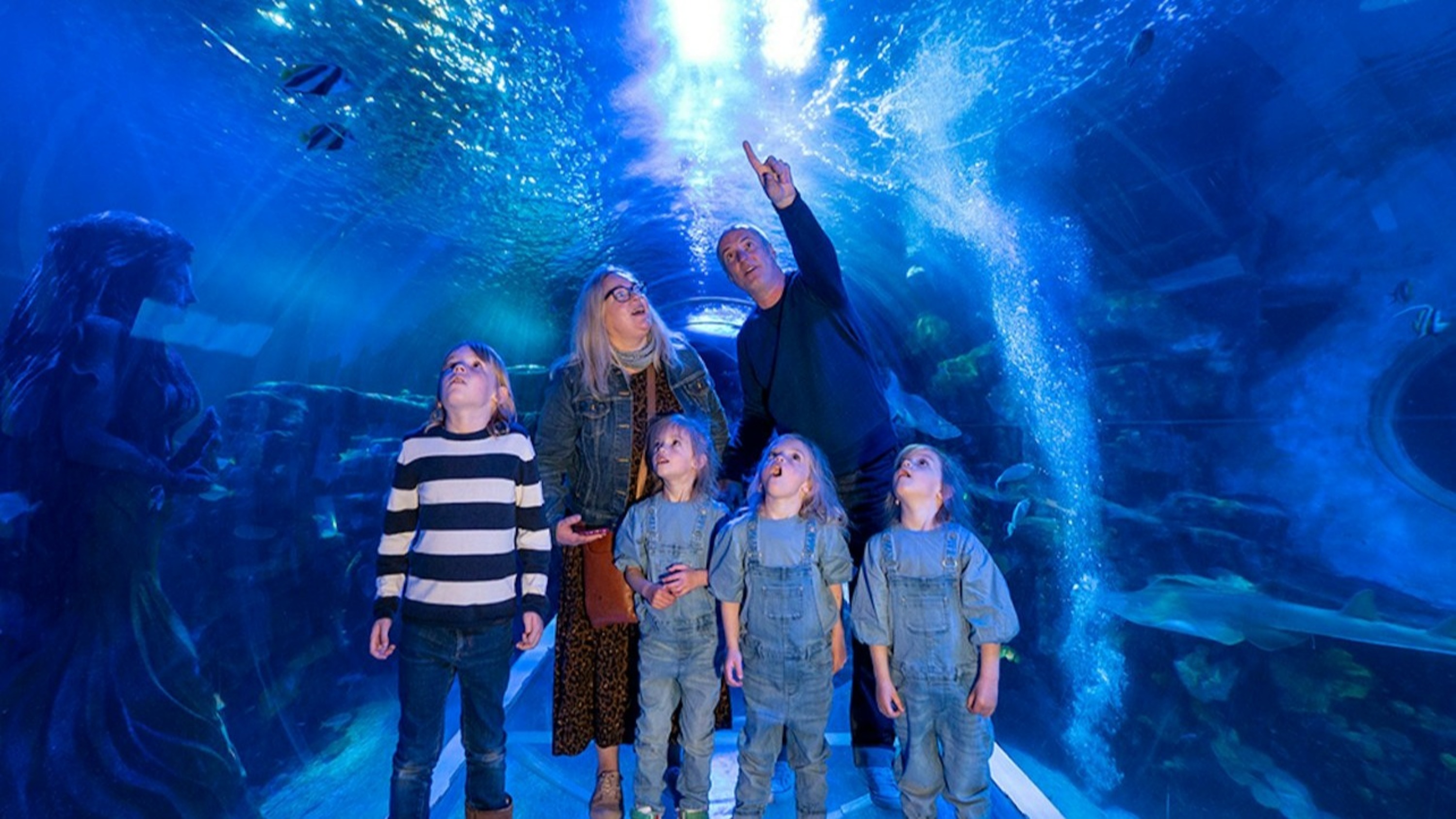 SEA LIFE Birmingham ticket 