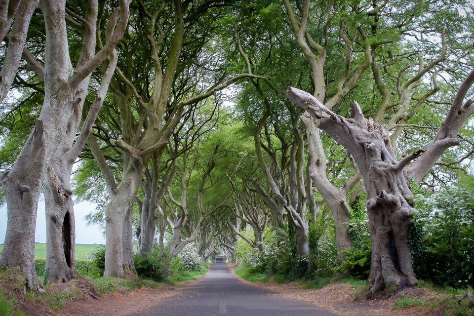 Game of Thrones, Westeros & Giant's Causeway Day Tour from Belfast