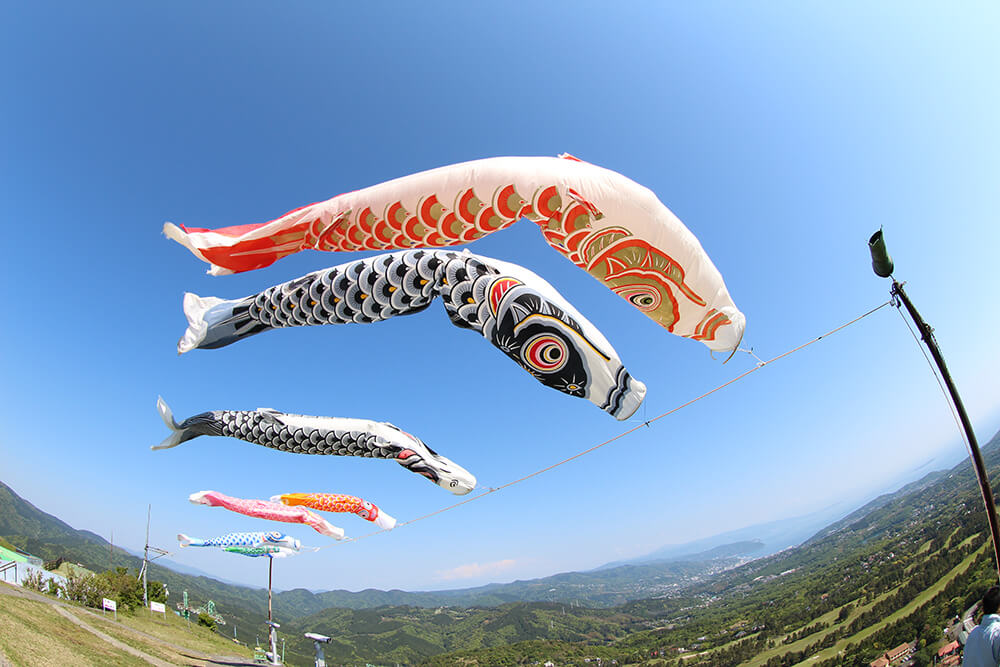 【夏日推薦】伊豆大室山一日遊｜ 絕美熱海海岸線 & 大室山纜車 &城崎海岸秘境探險 &伊東馬琳小鎮漫步