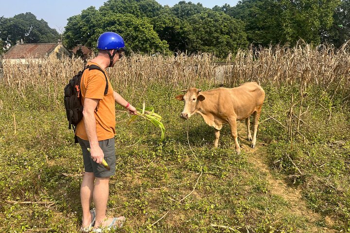 雄林古村為每位遊客提供獨特的旅行體驗。