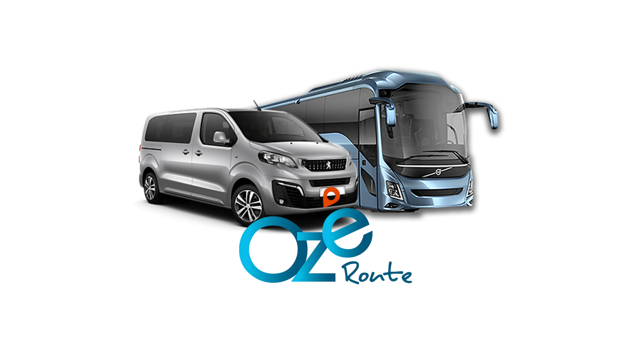 Paris Charles de Gaulle Airport Transfer to Paris Disneyland by Ozeroute