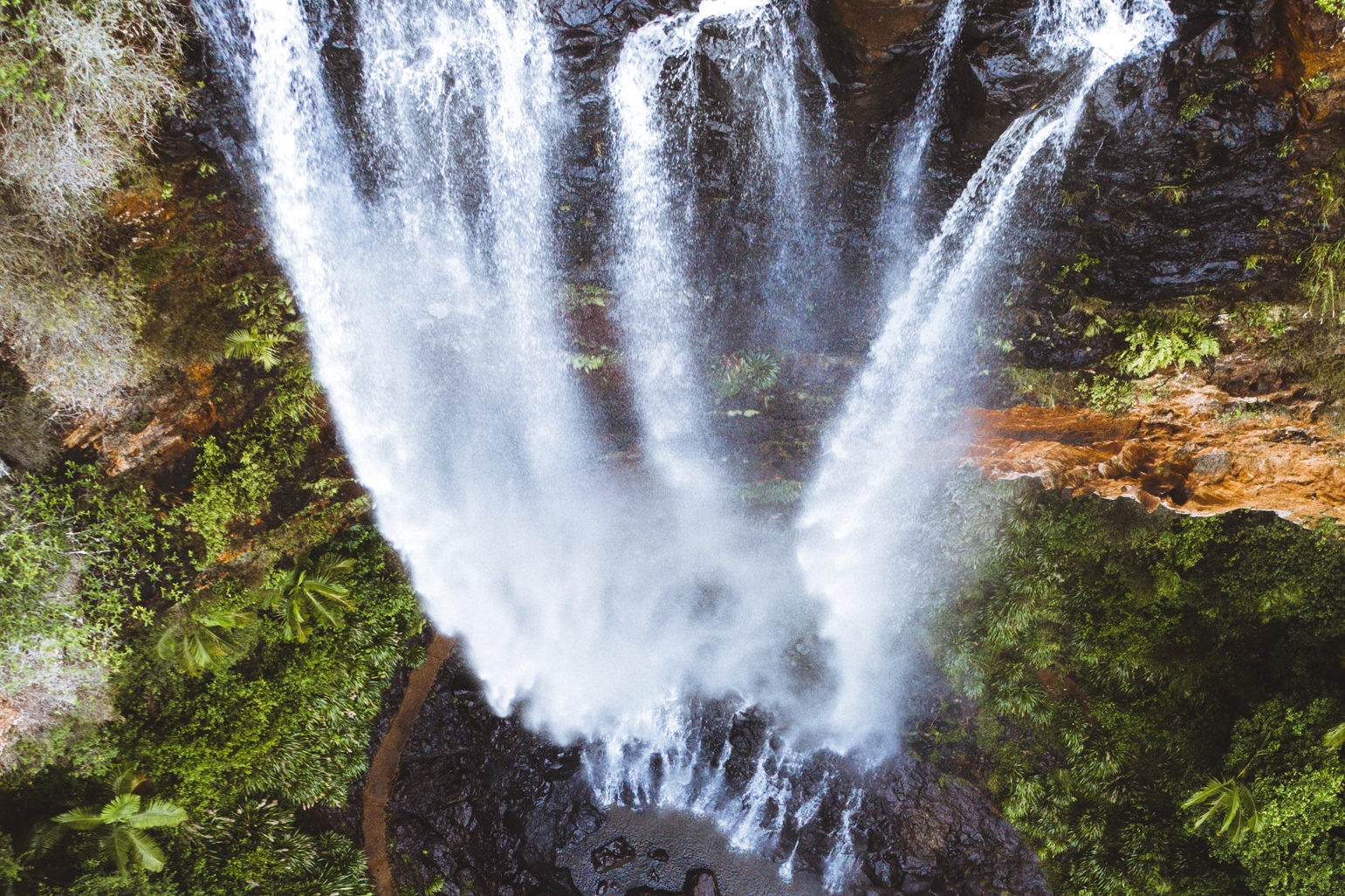體驗春溪國家公園古老而美麗的森林、瀑布和野生動物奇觀 體驗春溪國家公園古老而美麗的森林、瀑布和野生動物奇觀