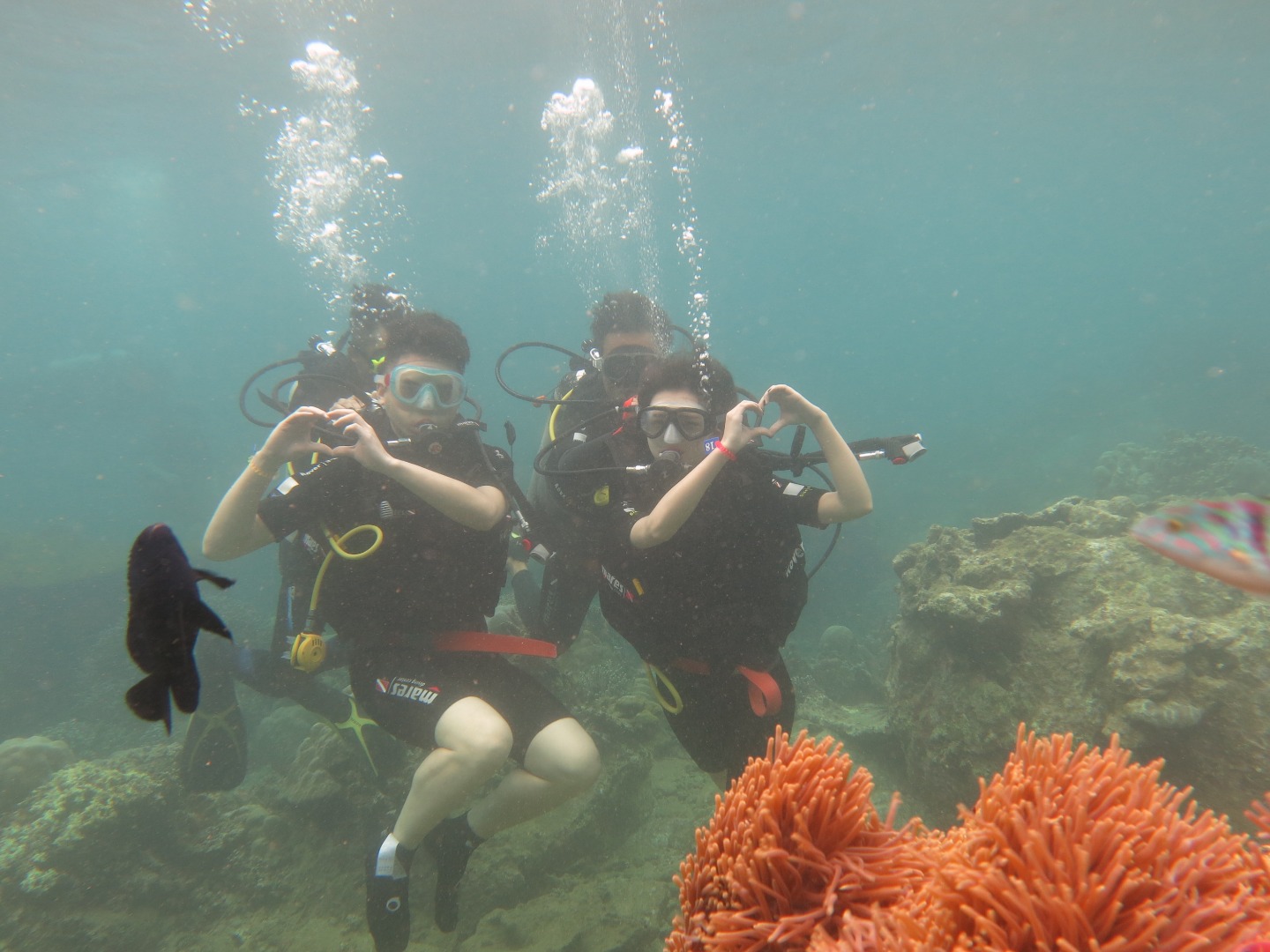 木島珊瑚礁水肺潛水體驗（芽莊出發）