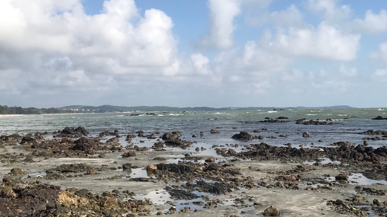 迪沙魯海灘＆潮池徒步導覽