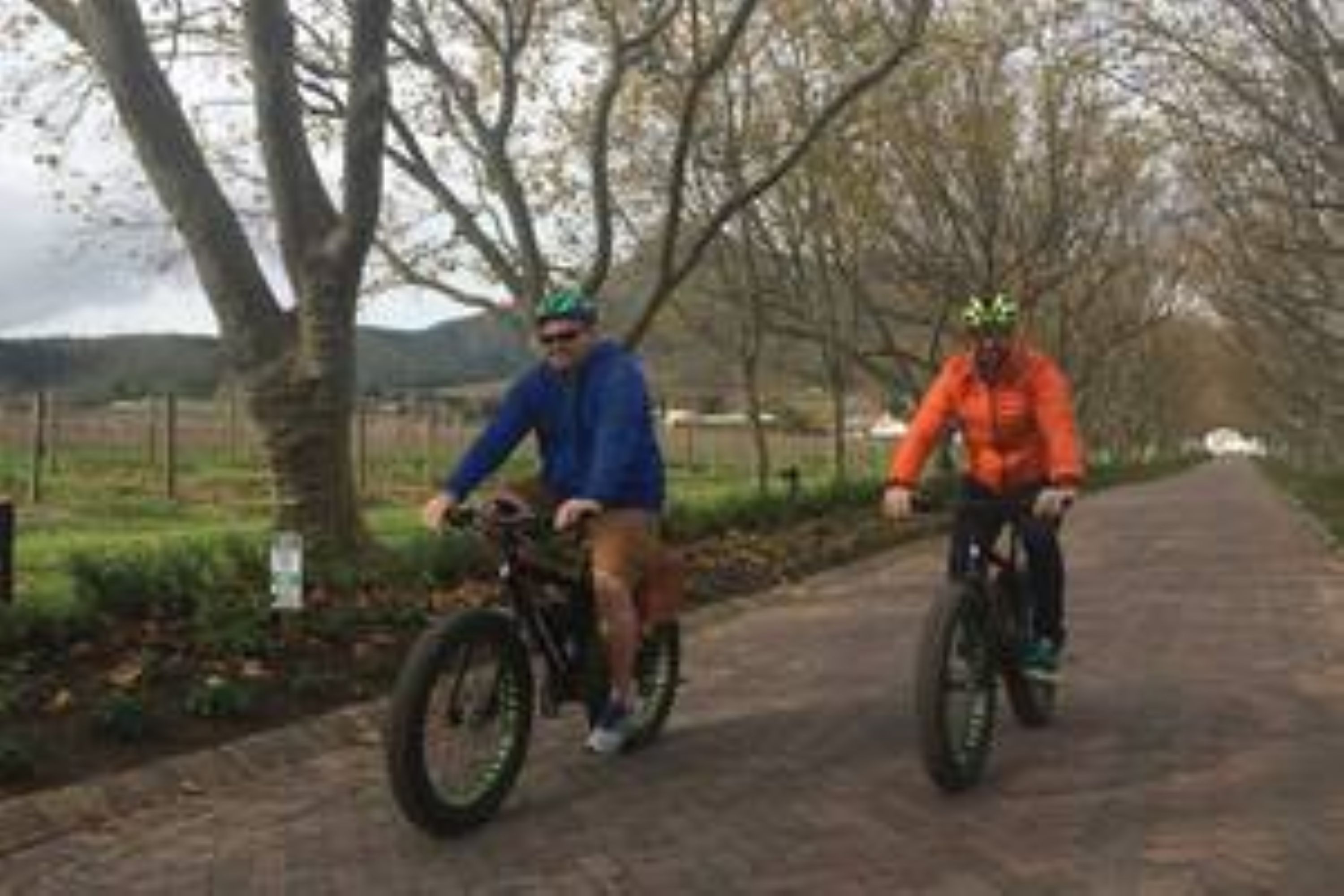 Vinebikes Stellenbosch (Half Day)