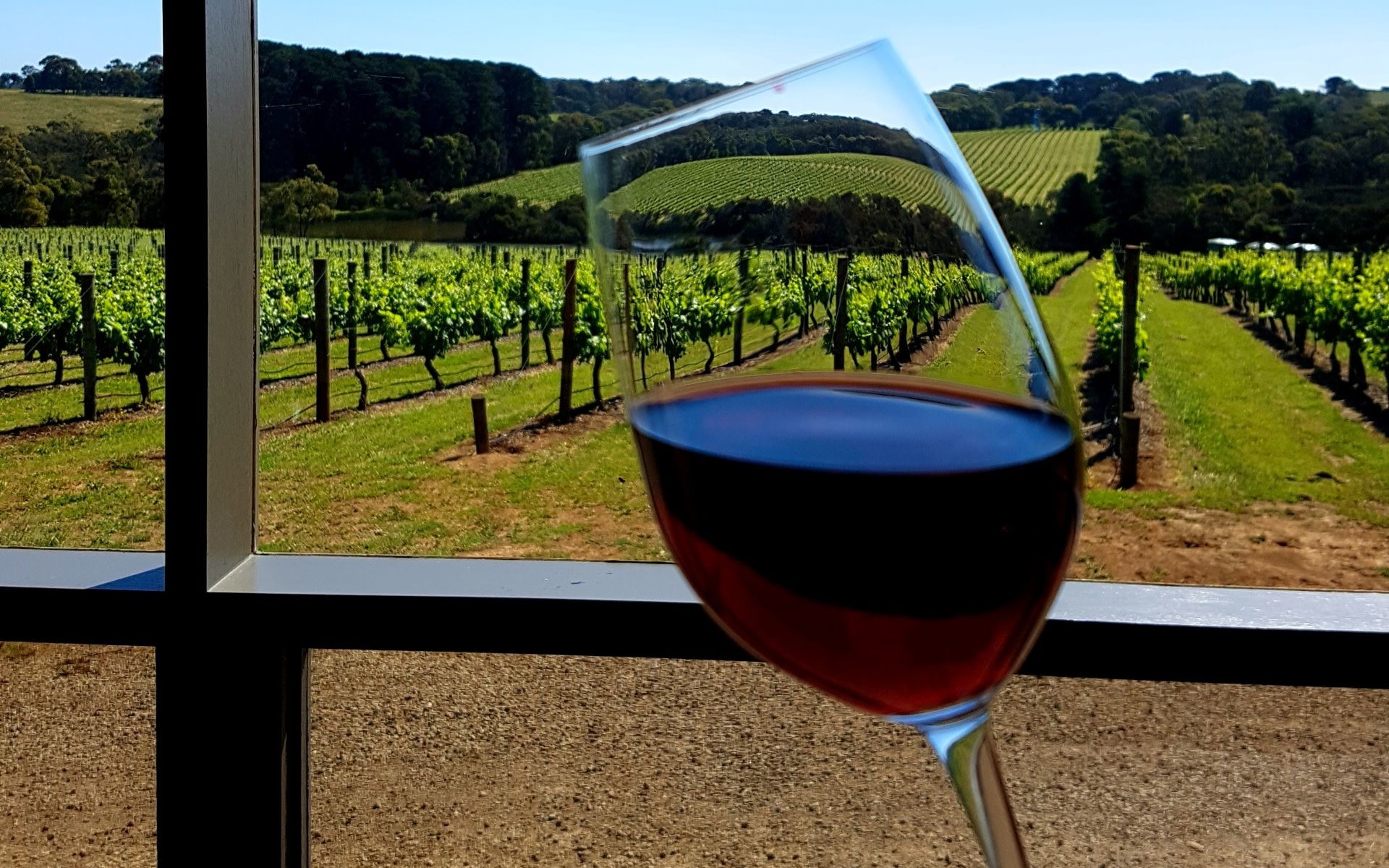 Hunter Valley Full-Day Small Group Wine Tasting Tour