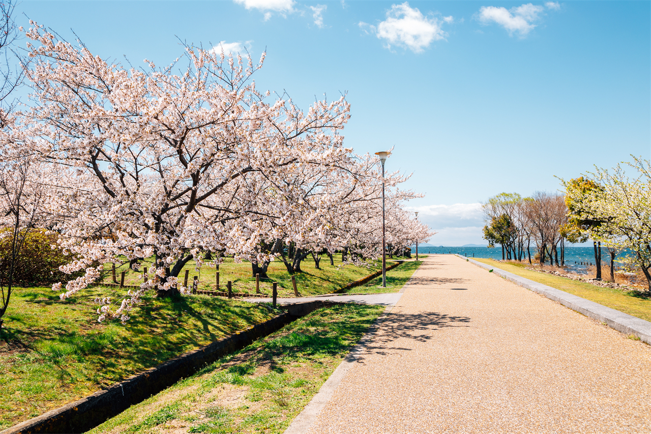 Lake Biwa Observatory, Shirahige Shrine, and Mangetsu-ji Temple Floating Temple Day Trip