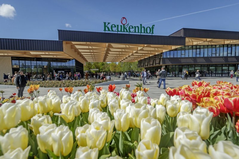 Keukenhof, Countryside and Windmill Cruise from Amsterdam