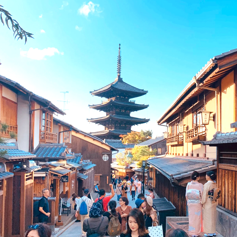 Kyoto Kinkakuji Temple, Kiyomizu Temple, Matcha Experience, Heian Shrine, and Rabbit Shrine Day Tour