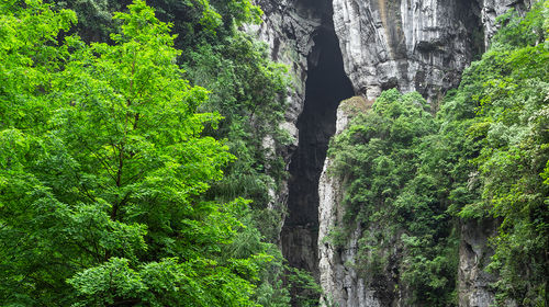 武隆喀斯特旅遊區