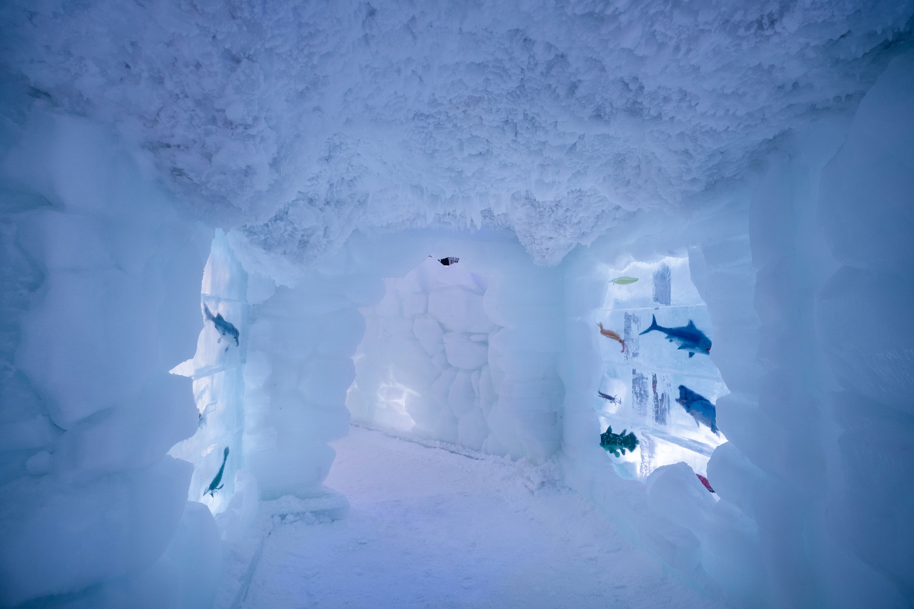 蘇州太倉阿爾卑斯雪世界