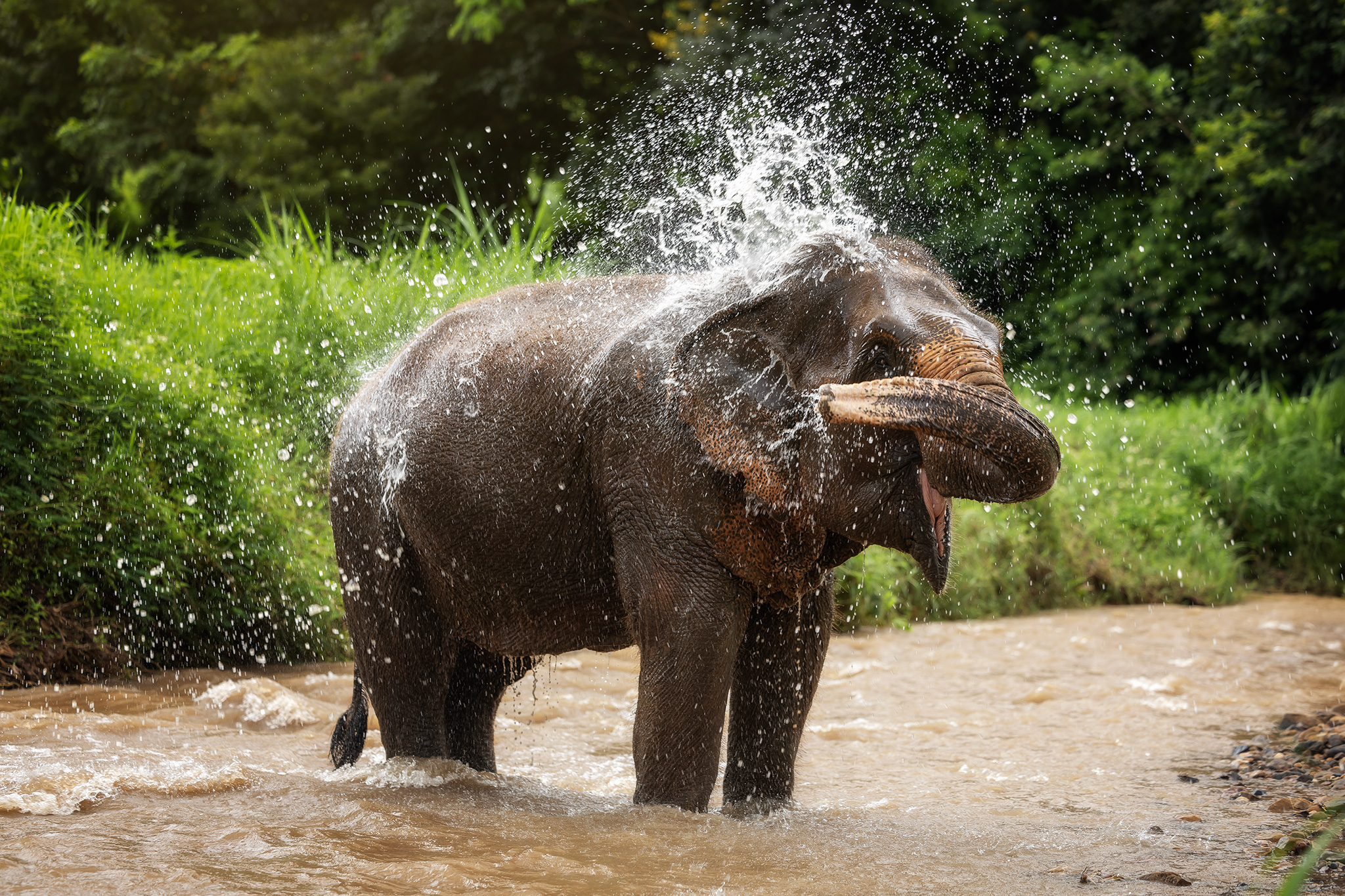 清爽的河水巴斯,觀察他們天真爛漫的快樂
泥漿水療和沐浴(包含在特定項目中) 清爽的河水巴斯,觀察他們天真爛漫的快樂
泥漿水療和沐浴(包含在特定項目中)