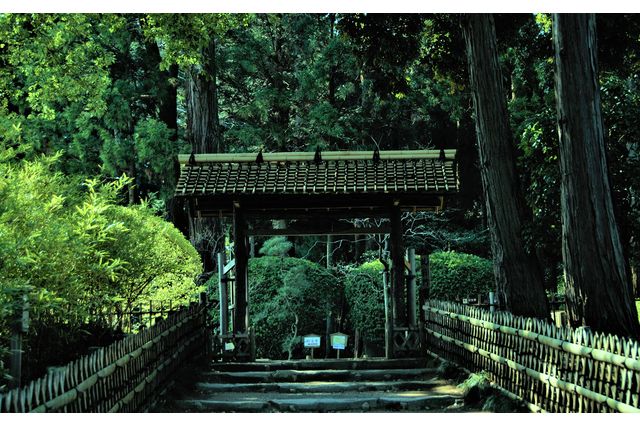 偕樂園門票（茨城）