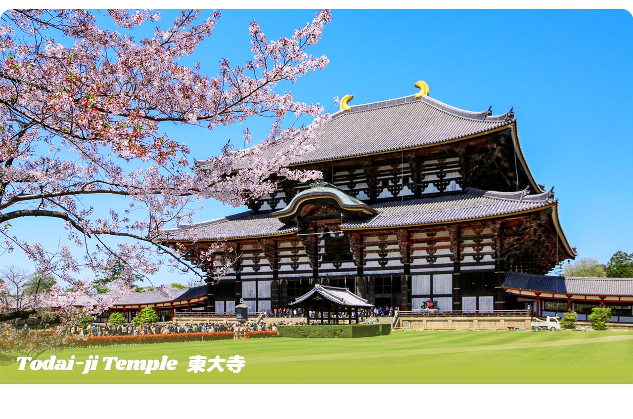 東大寺是奈良的地標性世界遺產，供奉世界最大木造佛像，莊嚴宏偉震撼人心🛕。