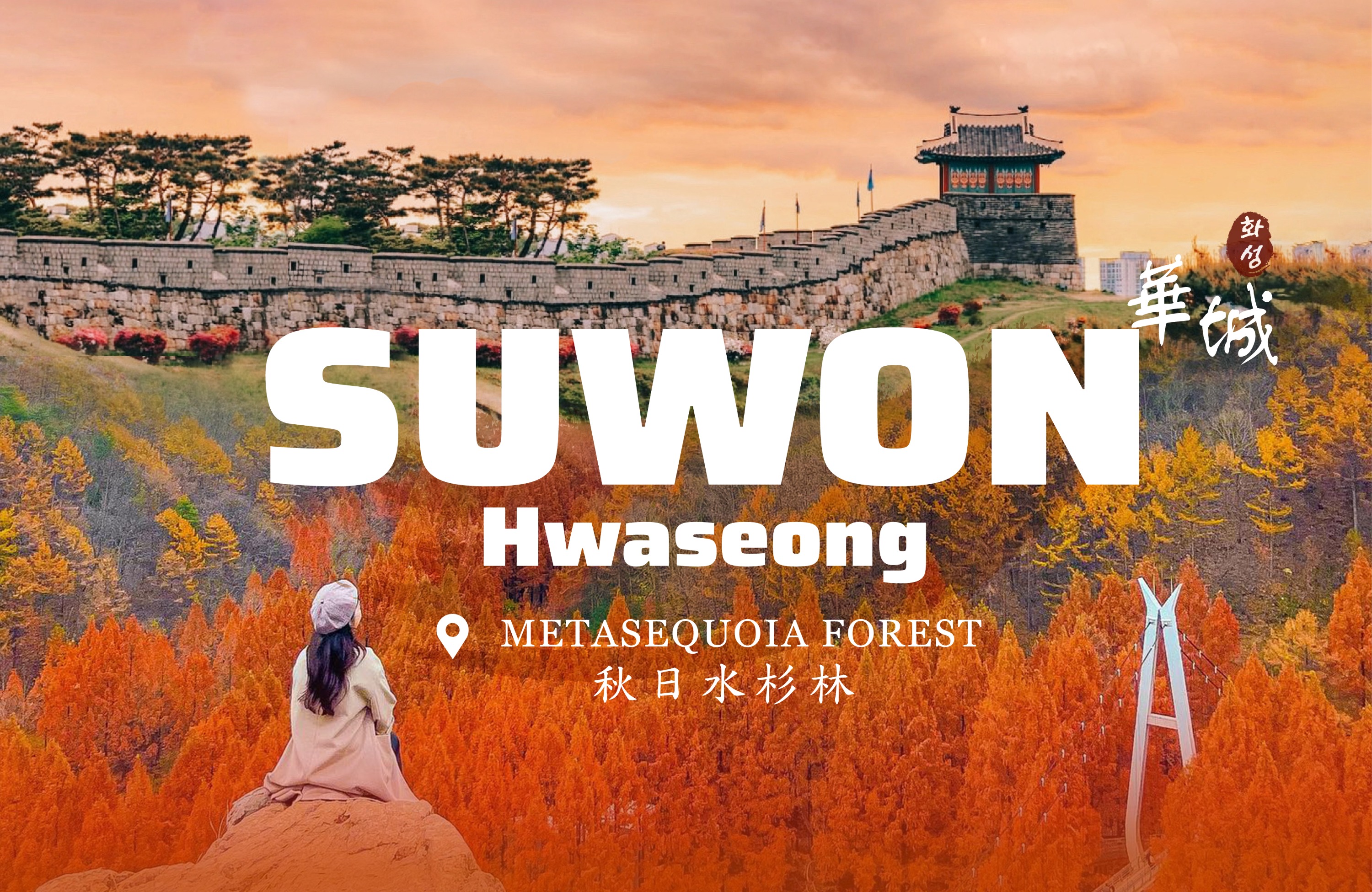 Cherry Blossom Suwon Hwaseong Fortress Tour from Seoul