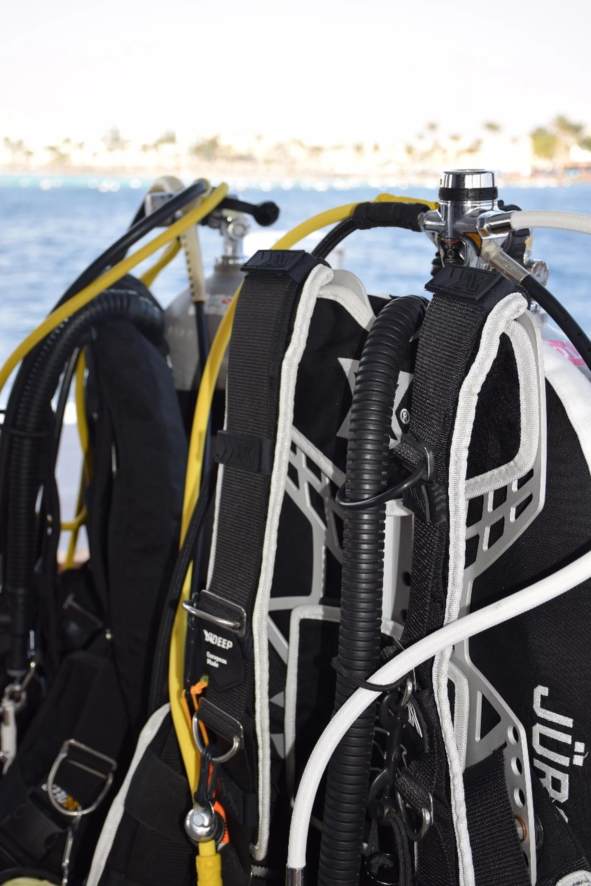 Refresh your diving skills in Hurghada with PADI 5 star centre