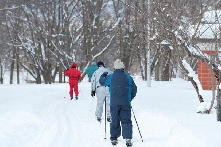 Winter Animal Watching& Cross-Country Skis Experience in Chitose