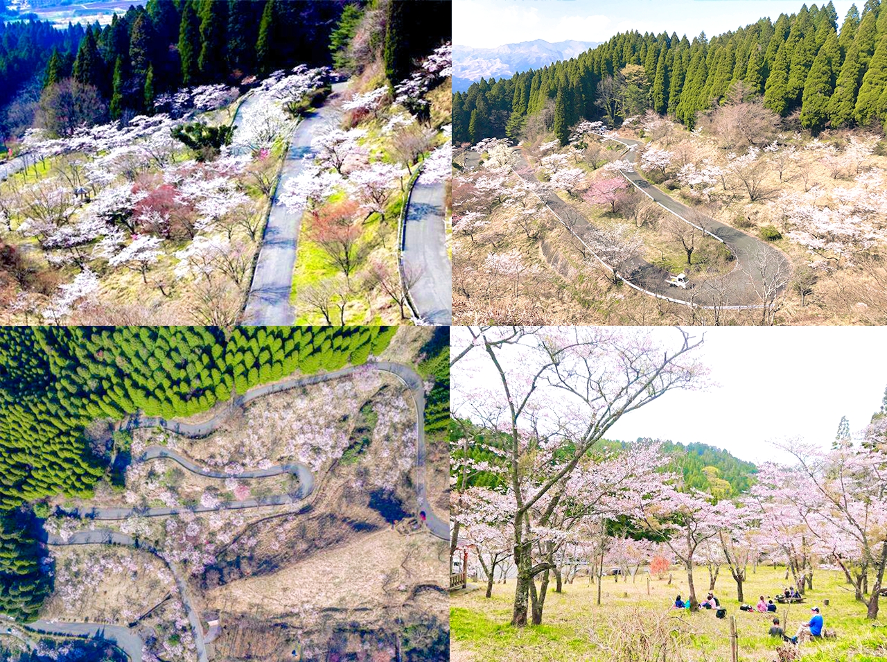 上色見熊野座神社＆高千穗峽＆天巖戸神社一日遊（福岡出發）