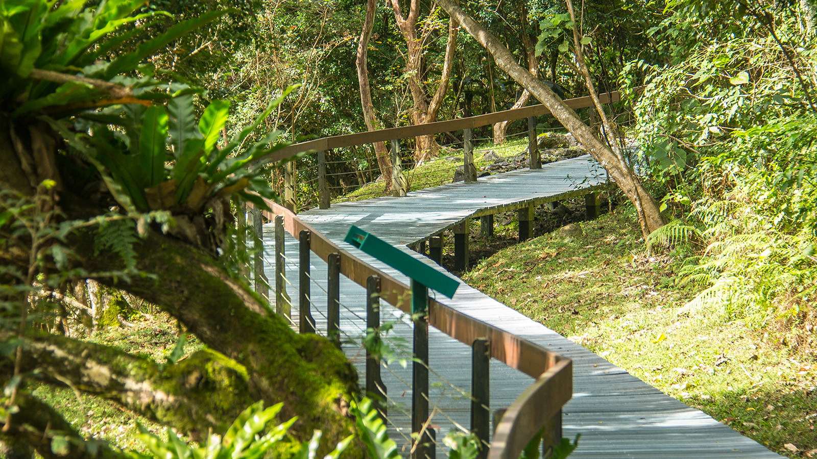 Hualien: Stairway to Heaven-Dekaron Trail Tour