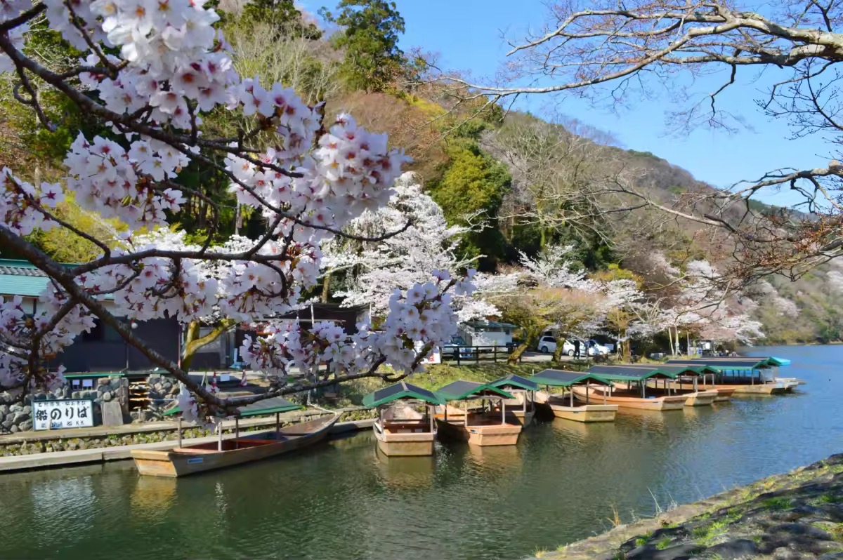 The sightseeing boats floating on the Oi River are also one of the characteristics of Arashiyama. There are so many things to see, it's hard to decide where to go (^^♪