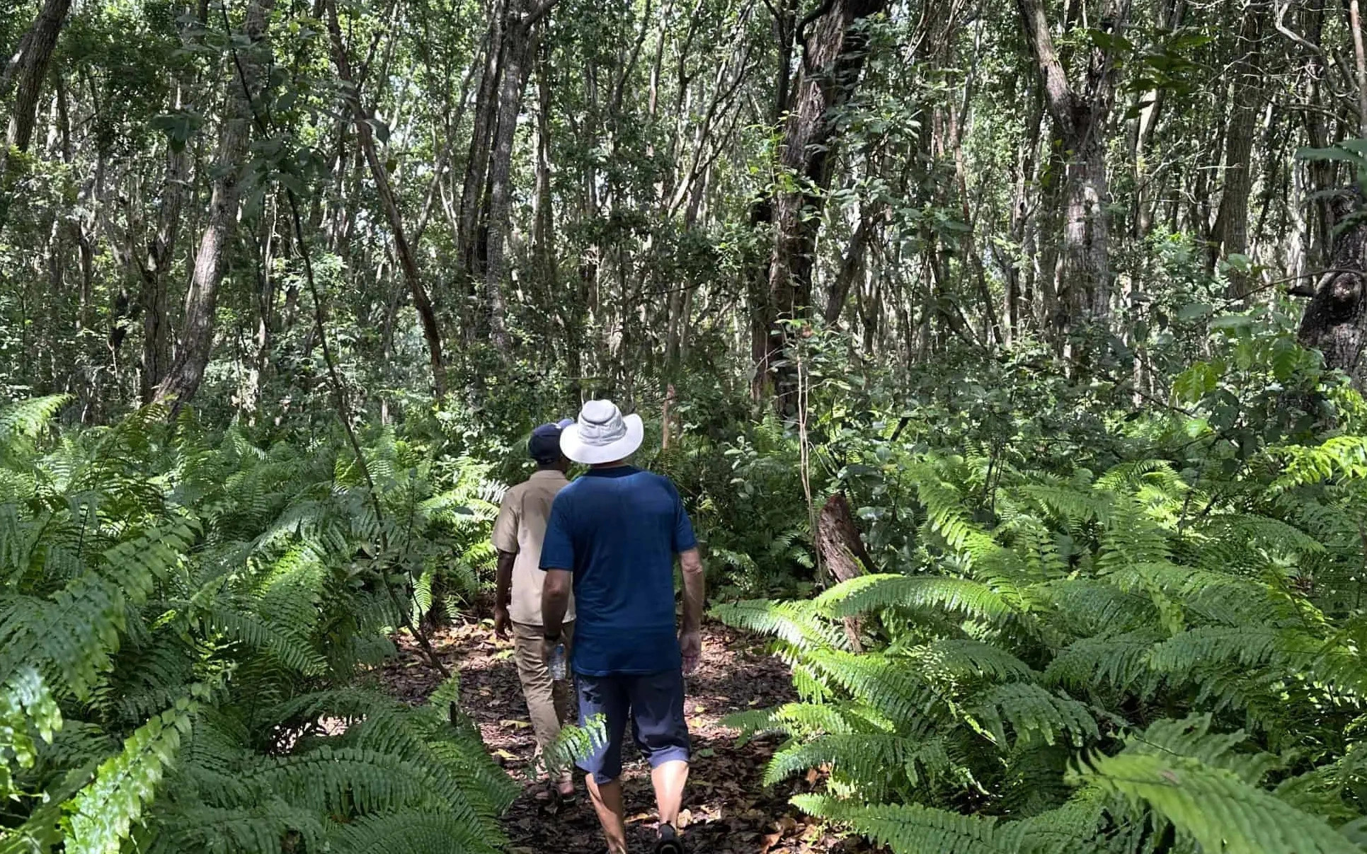 Zanzibar Jozani Forest & Kuza Cave Half-Day Tour with Swimming