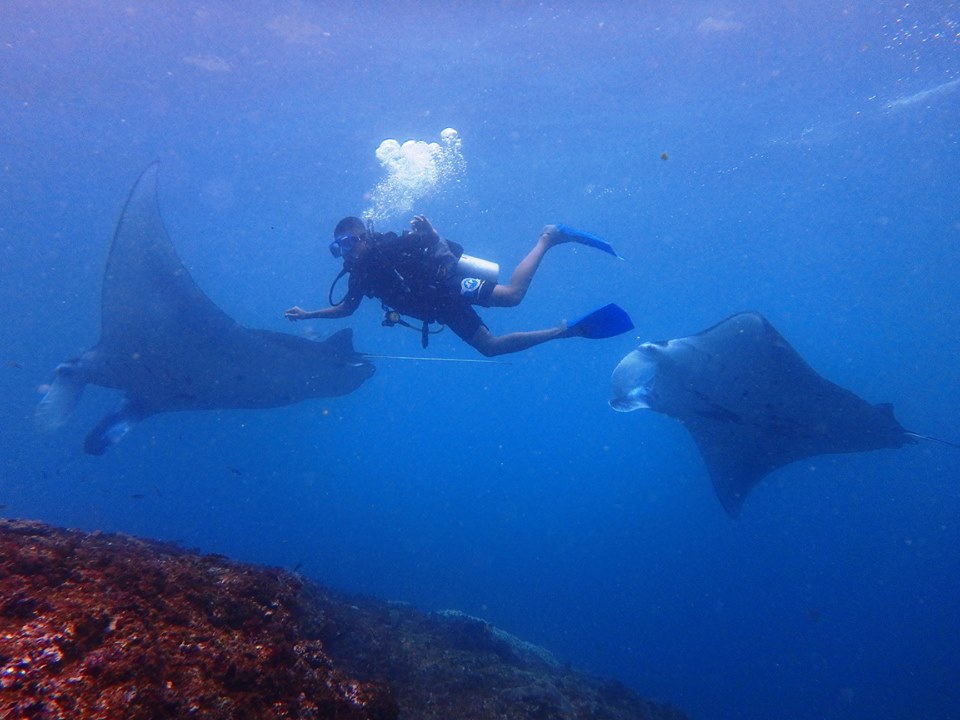 藍夢島 & 珀尼達島水肺潛水體驗（潛水認證）