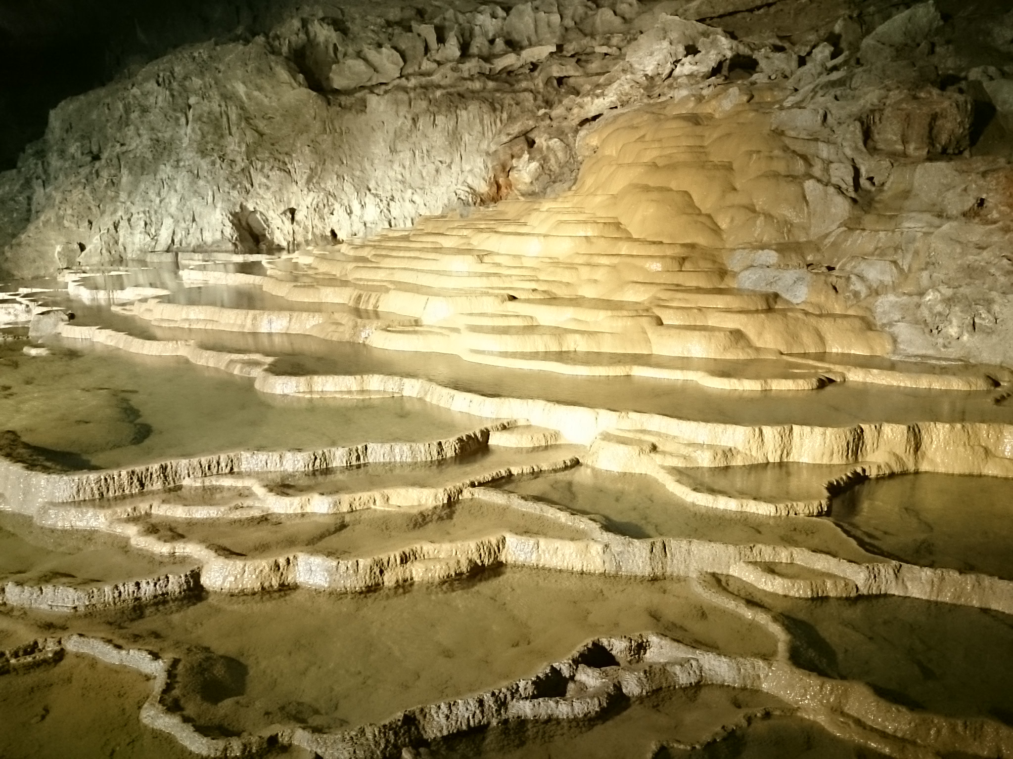Akiyoshido Cave Ticket in Yamaguchi