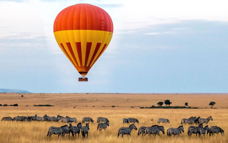 "Balloon Bliss: Capturing the Mara’s Beauty from Above"